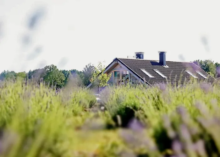 Lavender Village