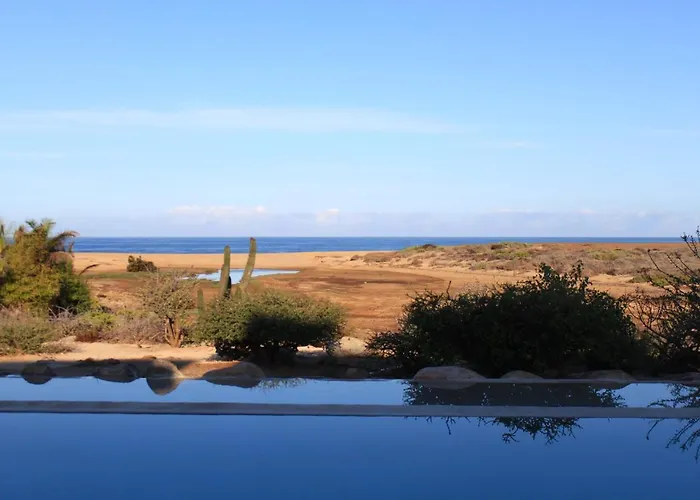 Tribu Todos Santos