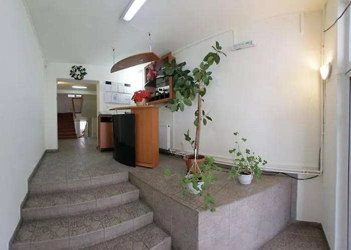 Pensiunea Confort