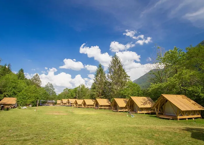 Adrenaline Check Camping