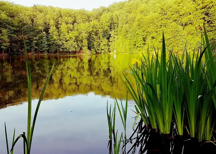 Ferienhaus direkt am See Mobilheim am Schönsee