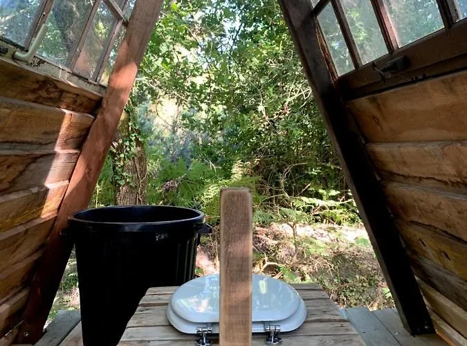 Magic Roof Top Bus With Big Bath In The Tree Forest!