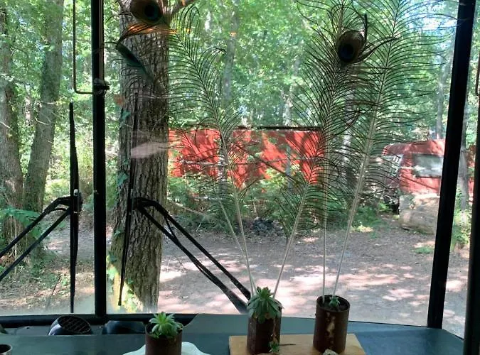 Magic Roof Top Bus With Big Bath In The Tree Forest!