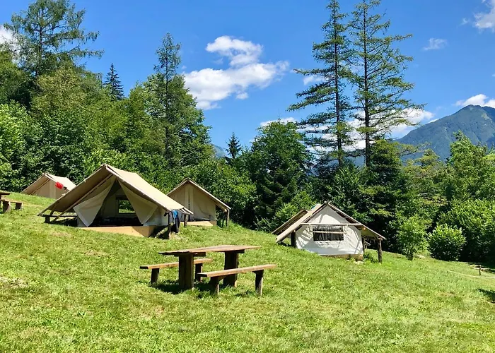 Adrenaline Check Camping