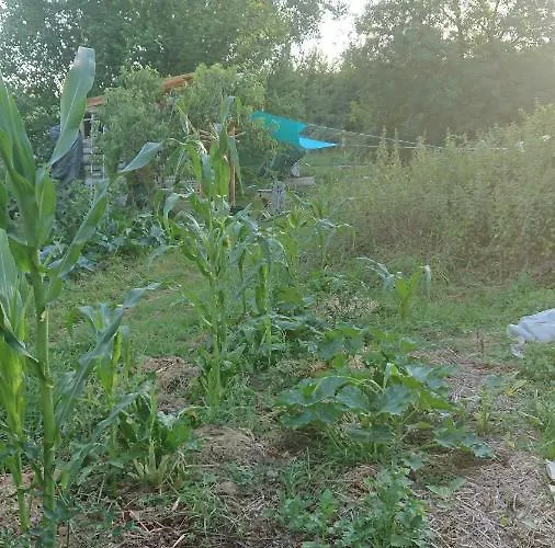 Tente En Permaculture Pirate
