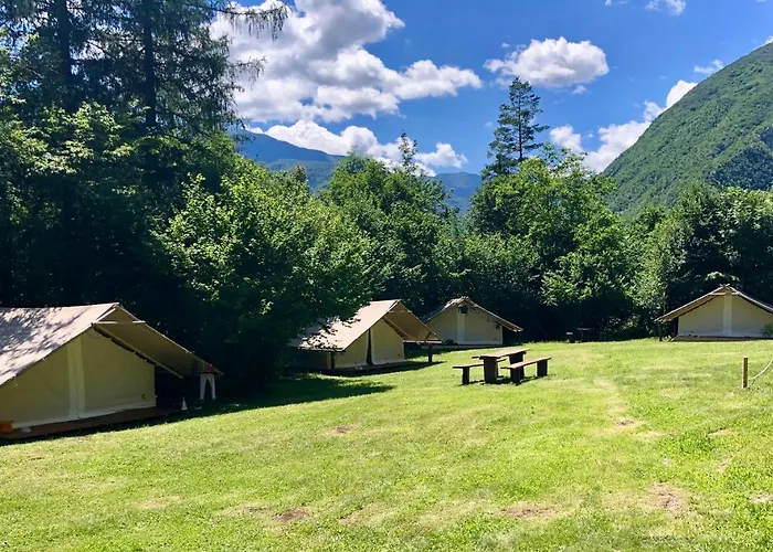 Adrenaline Check Camping