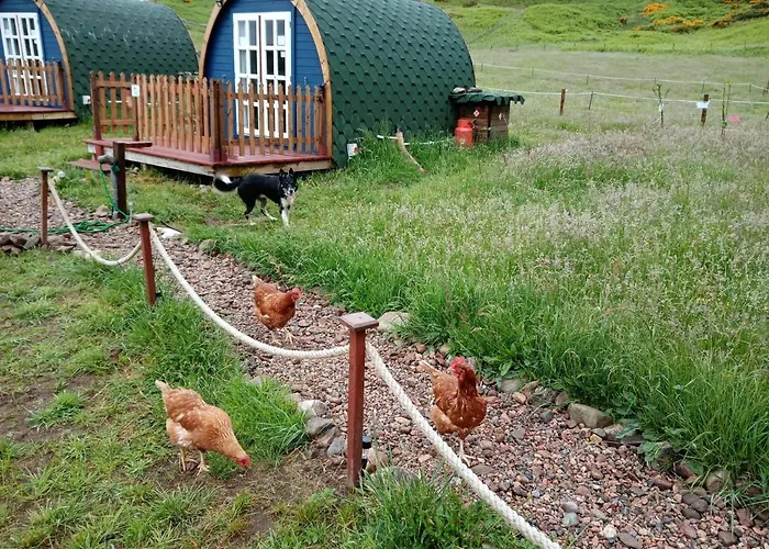 Wee Hoose Glamping Pod 1