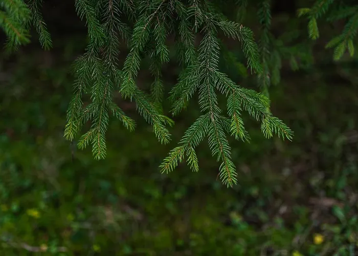 Huettenzauber Im Naturpark Altmuehltal