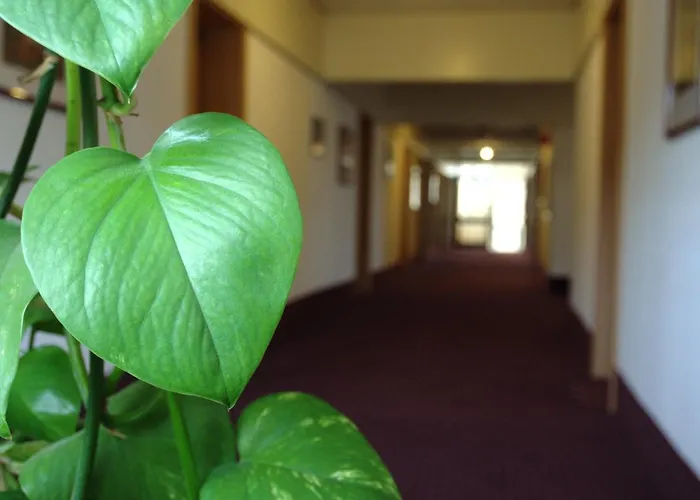 Hotel im Park