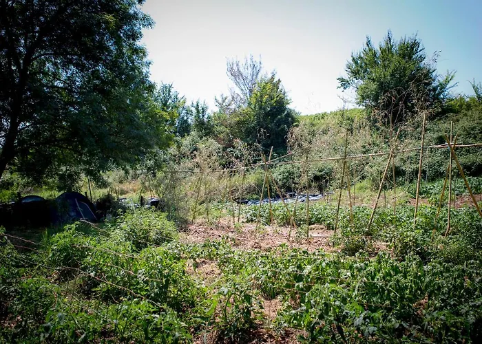 Tente En Permaculture Pirate