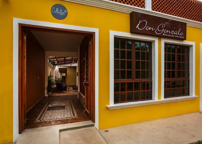 Hotel Beach Don Gonzalo