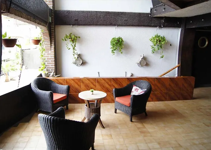 Cabo Tortuga Hotel Boutique