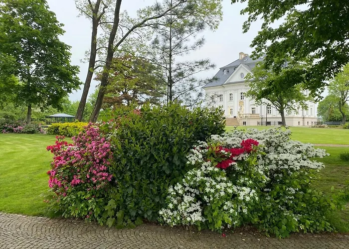 Hotel Palac Borynia