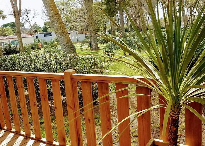 Mobile Home De Luxe St Cyprien