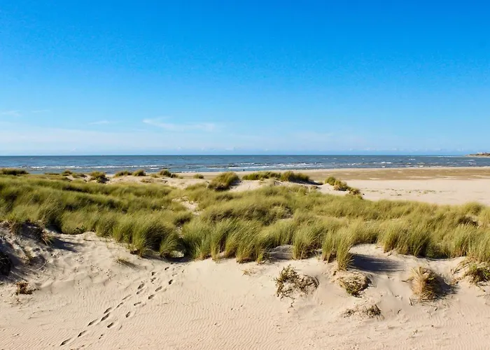 Camping La Foret Stella-Plage