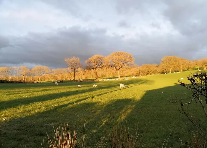 Dryw Bach Glamping Hut