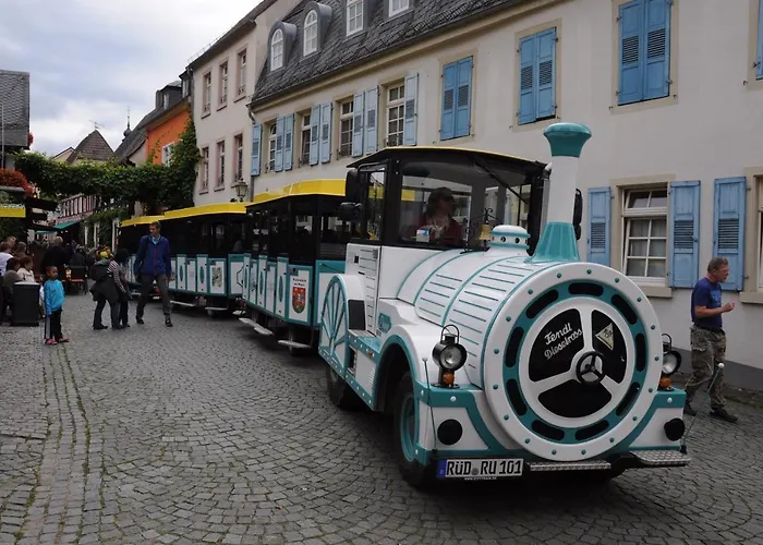 Hotel Krone Ruedesheim