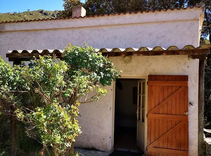 Campita