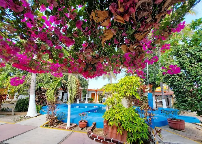 Hotel Oasis Melaque