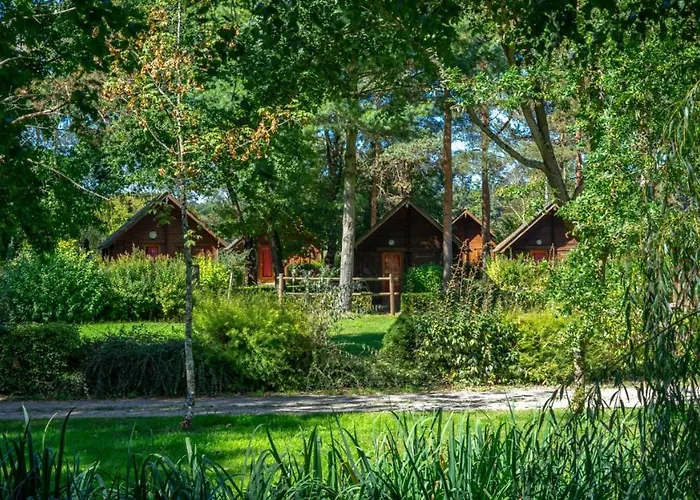Le Domaine Du Cerf Blanc