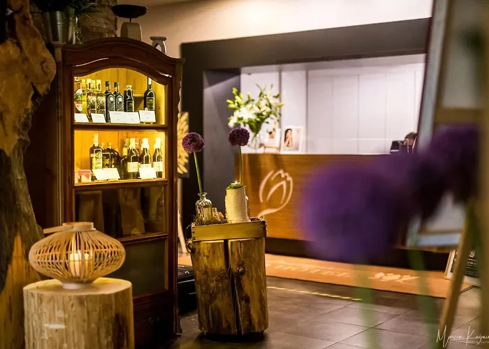 Boutique Eco Hotel Sasanka