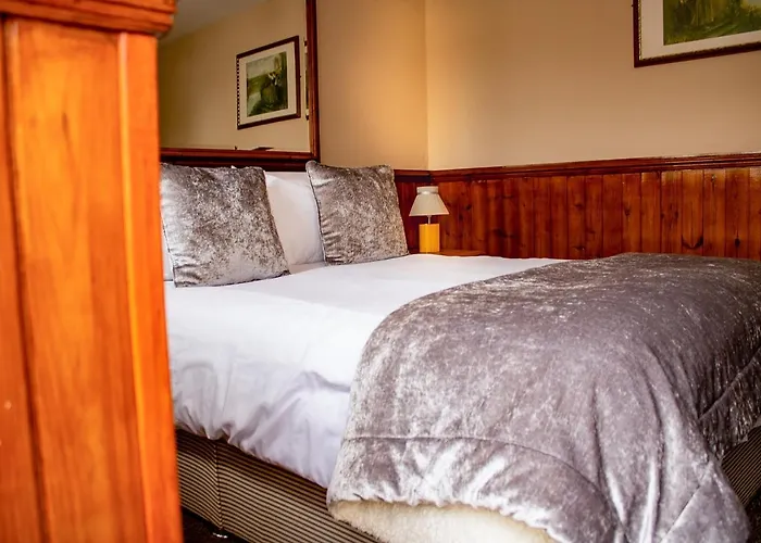 The Dolphin Hotel