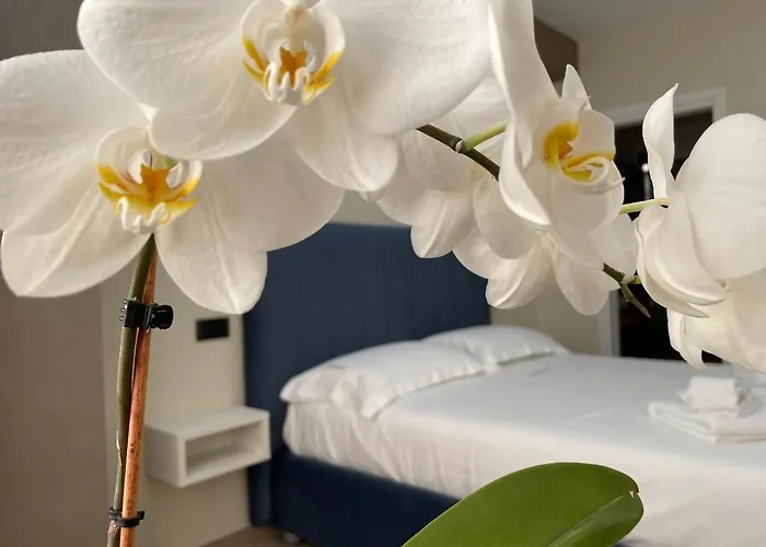 B&B L'Orchidea