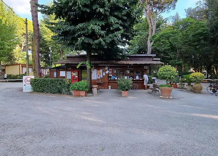 Chalet 4 Or 6 Persons Toscana Viareggio Camping Bosco Verde Italie
