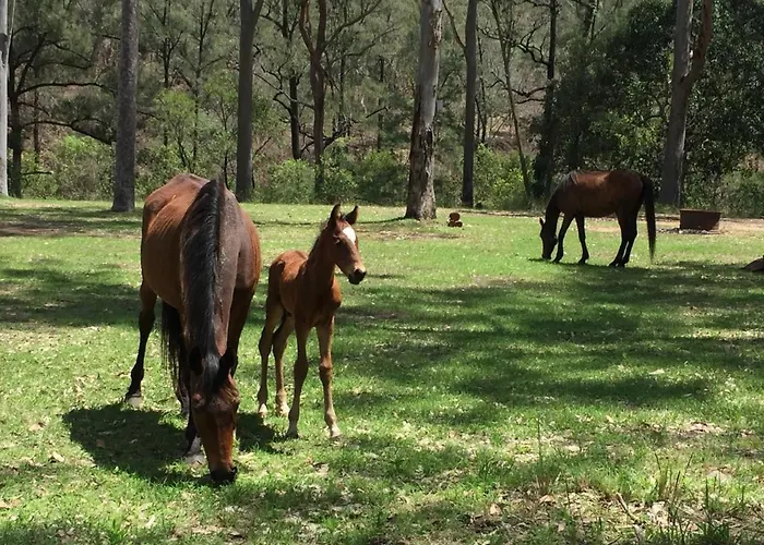 Emu Creek Retreat