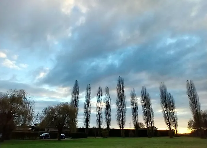 Domaine Des Epinettes