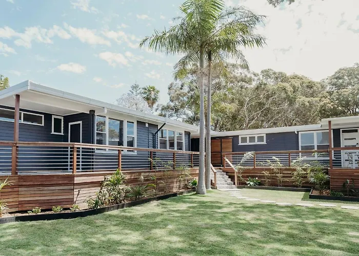Nelson Palms