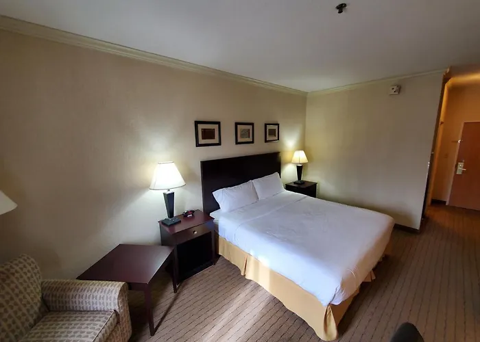 The Arc Hotel