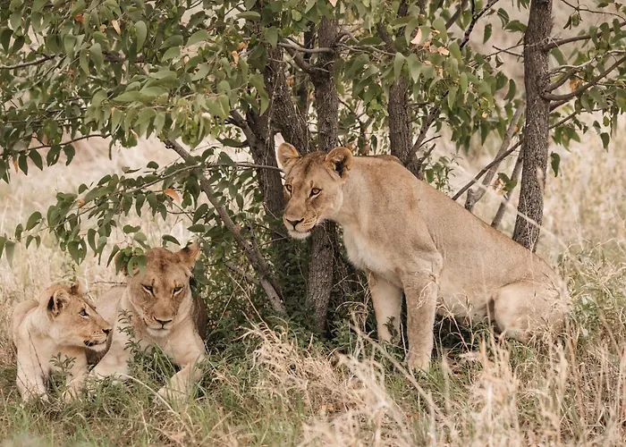 Etosha Safari Campsite