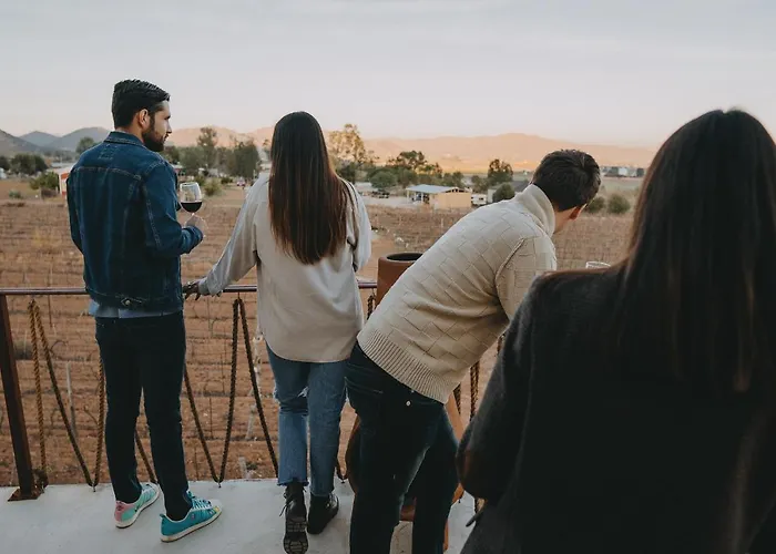 The Pangea Valle De Guadalupe