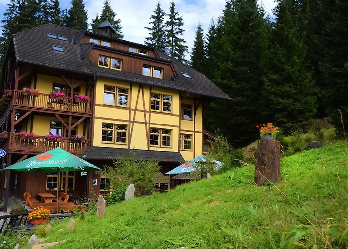 Hotel Modrava