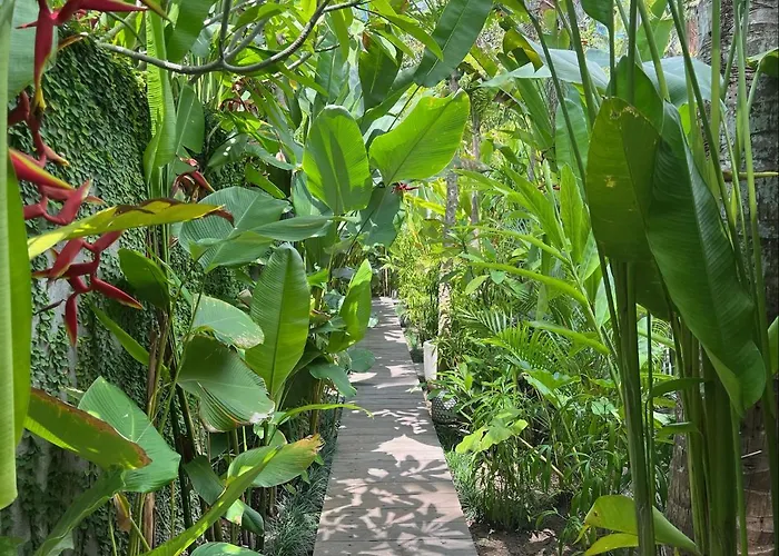 Jati Kuta Lombok