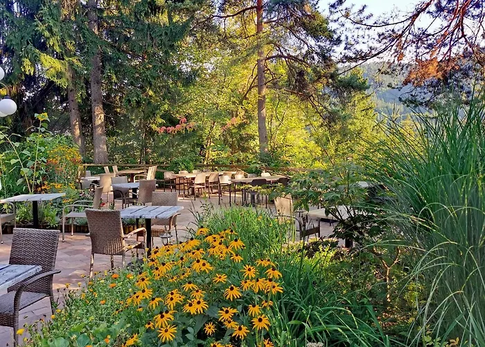 Ribno Alpine Hotel