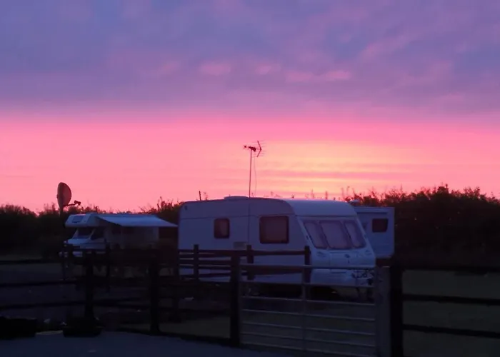 Marshland Alpacas Glamping Lodge