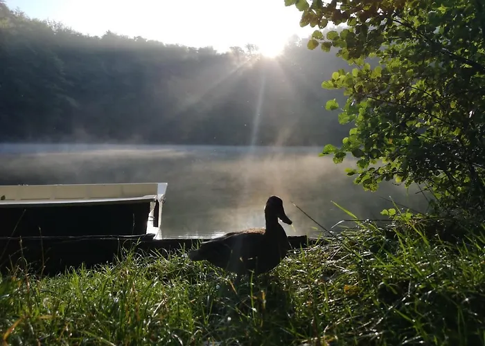 Ferienhaus direkt am See Mobilheim am Schönsee
