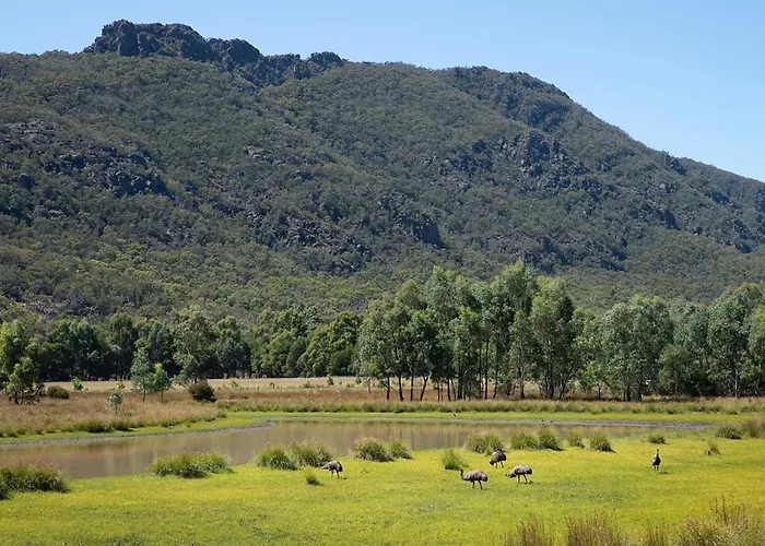 Halls Gap Motel
