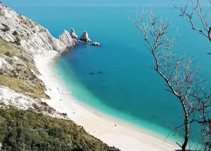 Tobacco Road Camping Sirolo