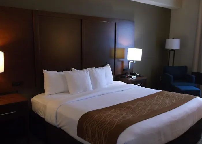 Comfort Inn & Suites Seguin