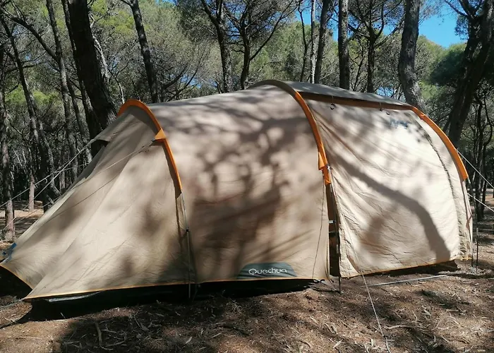 Agricampeggio La Pineta