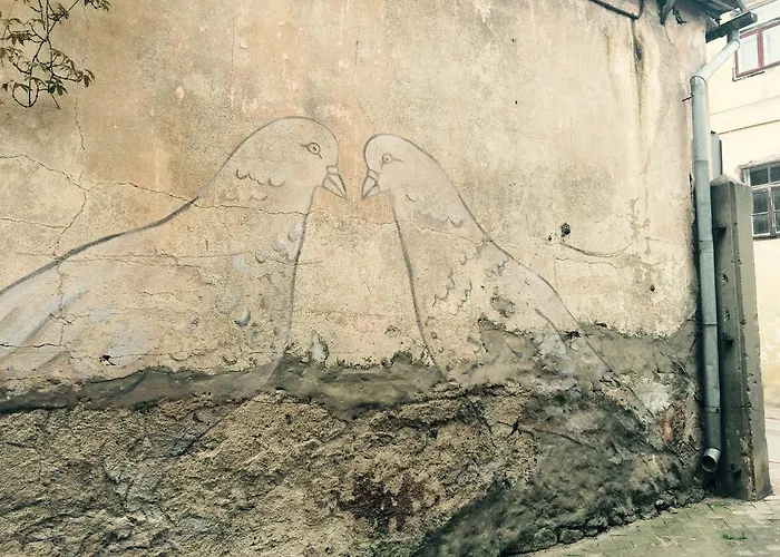 2 Balozi