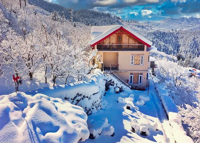 Banjara Orchard Retreat Thanedar