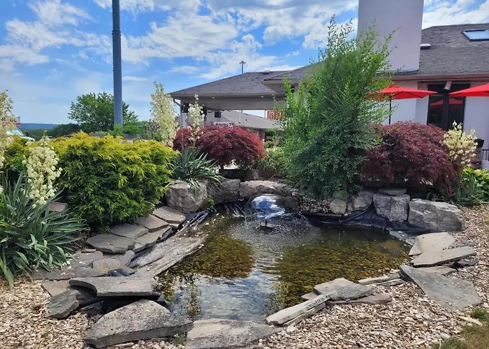 City View Inn
