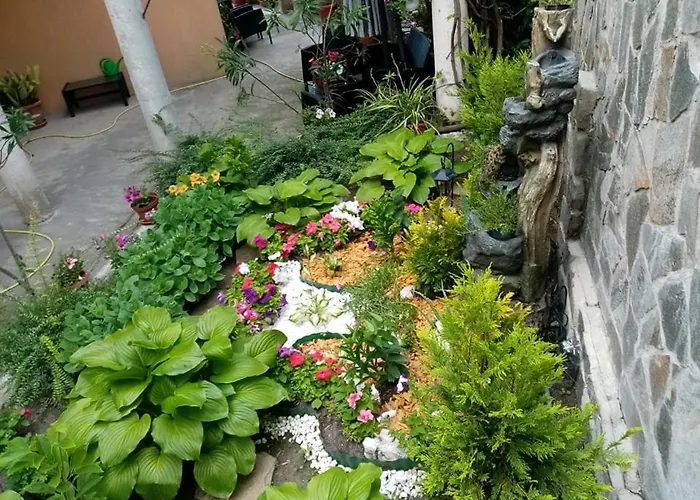 Pancho Family Hotel