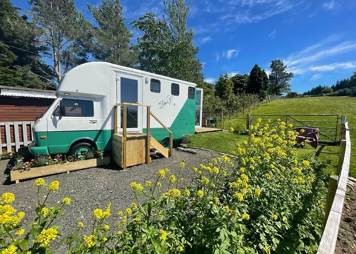Pant Y Rhedyn Glamping And Camping Site
