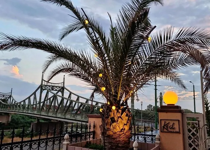 Hotel Coandi