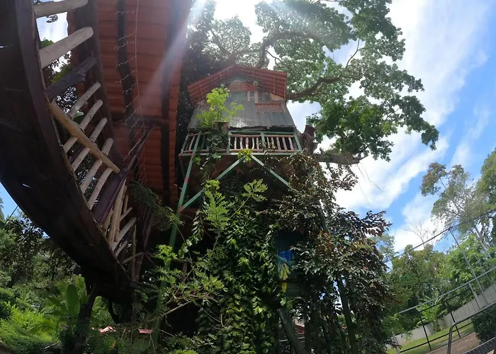 Tree House Samanea Lodge